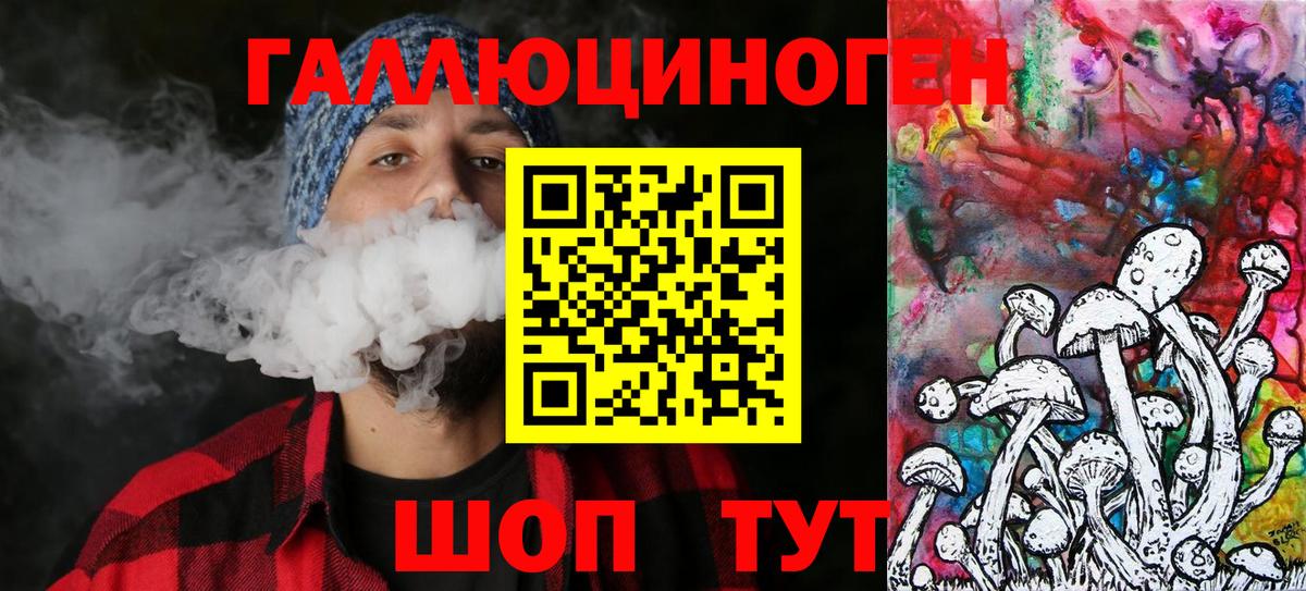 Псилоцибиновые грибы Psilocybine cubensis Свободный