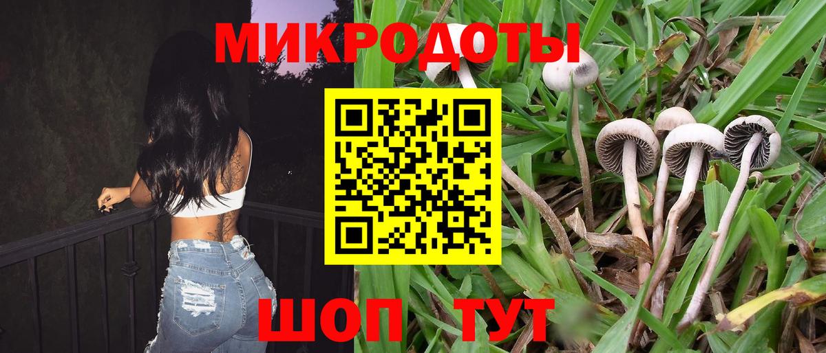 Псилоцибиновые грибы Cubensis  Вход с VPN  купить закладку  Свободный 